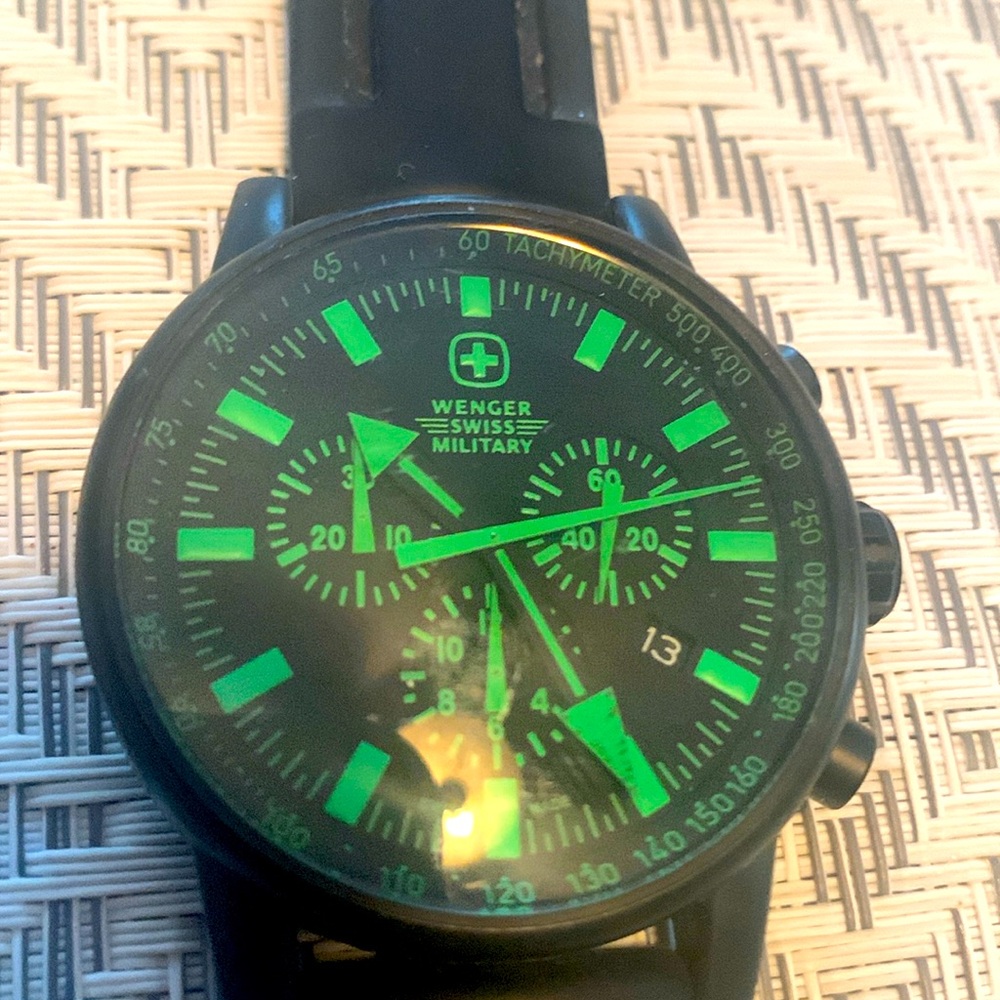 Wegner watch